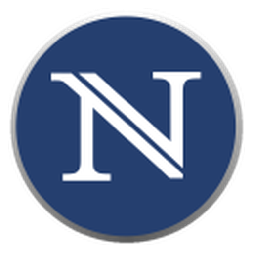 Logo NETLIFE