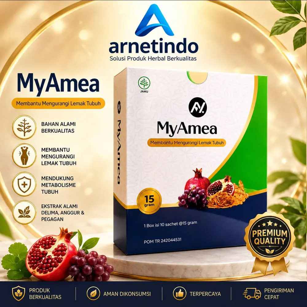 MyAmea NETLIFE